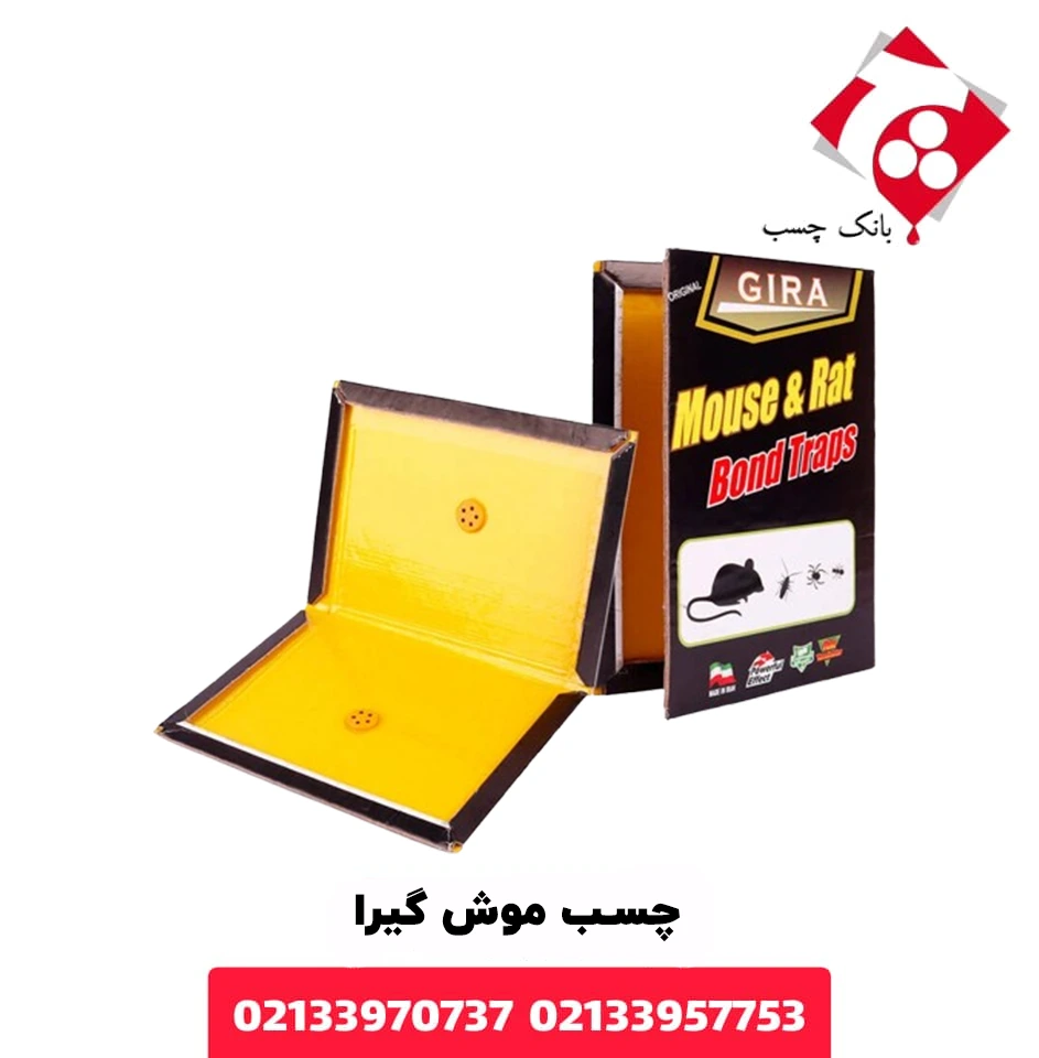 چسب موش گیرا